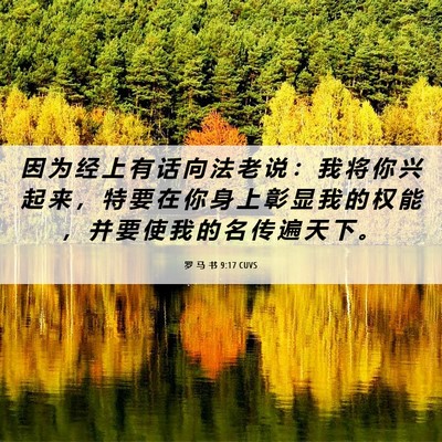Picture 06 - 罗 马 书 9:17 CUVS - 因 为 经 上 有 话 向 法 老 说 ： 我 - Bible Verse Picture