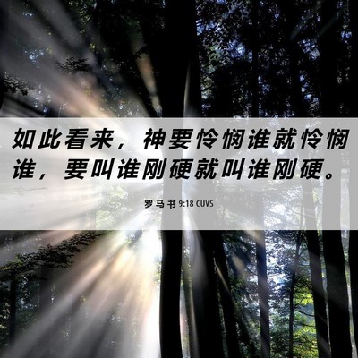 Picture 06 - 罗 马 书 9:18 CUVS - 如 此 看 来 ， 神 要 怜 悯 谁 就 怜 - Bible Verse Picture