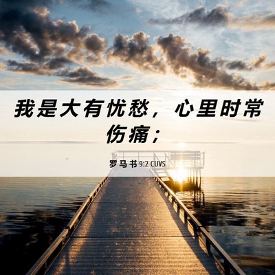 Picture 06 - 罗 马 书 9:2 CUVS - 我 是 大 有 忧 愁 ， 心 里 时 常 伤 - Bible Verse Picture