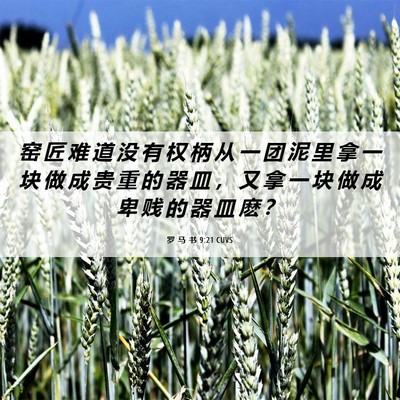 Picture 06 - 罗 马 书 9:21 CUVS - 窑 匠 难 道 没 有 权 柄 从 一 团 泥 - Bible Verse Picture