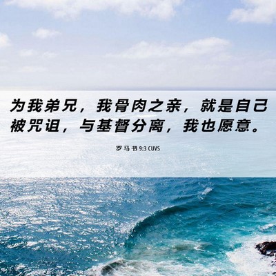 Picture 06 - 罗 马 书 9:3 CUVS - 为 我 弟 兄 ， 我 骨 肉 之 亲 ， 就 - Bible Verse Picture