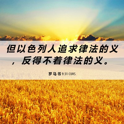 Picture 06 - 罗 马 书 9:31 CUVS - 但 以 色 列 人 追 求 律 法 的 义 ， - Bible Verse Picture