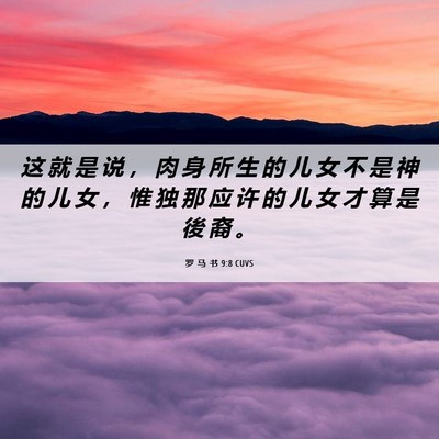 Picture 06 - 罗 马 书 9:8 CUVS - 这 就 是 说 ， 肉 身 所 生 的 儿 女 - Bible Verse Picture