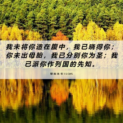 Picture 06 - 耶 利 米 书 1:5 CUVS - 我 未 将 你 造 在 腹 中 ， 我 已 晓 - Bible Verse Picture