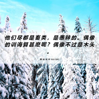 Picture 06 - 耶 利 米 书 10:8 CUVS - 他 们 尽 都 是 畜 类 ， 是 愚 昧 的 - Bible Verse Picture