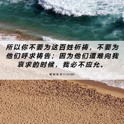 Picture 06 - 耶 利 米 书 11:14 CUVS - 所 以 你 不 要 为 这 百 姓 祈 祷 ， - Bible Verse Picture