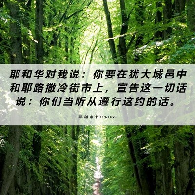 Picture 06 - 耶 利 米 书 11:6 CUVS - 耶 和 华 对 我 说 ： 你 要 在 犹 大 - Bible Verse Picture