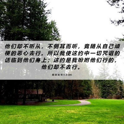 Picture 06 - 耶 利 米 书 11:8 CUVS - 他 们 却 不 听 从 ， 不 侧 耳 而 听 - Bible Verse Picture