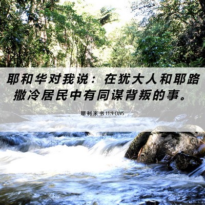 Picture 06 - 耶 利 米 书 11:9 CUVS - 耶 和 华 对 我 说 ： 在 犹 大 人 和 - Bible Verse Picture