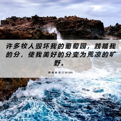 Picture 06 - 耶 利 米 书 12:10 CUVS - 许 多 牧 人 毁 坏 我 的 葡 萄 园 ， - Bible Verse Picture