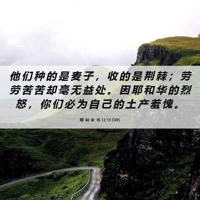 Picture 06 - 耶 利 米 书 12:13 CUVS - 他 们 种 的 是 麦 子 ， 收 的 是 荆 - Bible Verse Picture