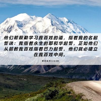 Picture 06 - 耶 利 米 书 12:16 CUVS - 他 们 若 殷 勤 学 习 我 百 姓 的 道 - Bible Verse Picture