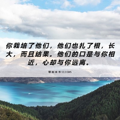 Picture 06 - 耶 利 米 书 12:2 CUVS - 你 栽 培 了 他 们 ， 他 们 也 扎 了 - Bible Verse Picture