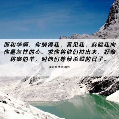 Picture 06 - 耶 利 米 书 12:3 CUVS - 耶 和 华 啊 ， 你 晓 得 我 ， 看 见 - Bible Verse Picture