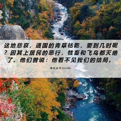 Picture 06 - 耶 利 米 书 12:4 CUVS - 这 地 悲 哀 ， 通 国 的 青 草 枯 乾 - Bible Verse Picture
