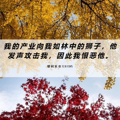 Picture 06 - 耶 利 米 书 12:8 CUVS - 我 的 产 业 向 我 如 林 中 的 狮 子 - Bible Verse Picture