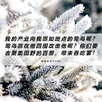 Picture 06 - 耶 利 米 书 12:9 CUVS - 我 的 产 业 向 我 岂 如 斑 点 的 鸷 - Bible Verse Picture