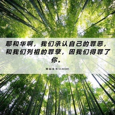 Picture 06 - 耶 利 米 书 14:20 CUVS - 耶 和 华 啊 ， 我 们 承 认 自 己 的 - Bible Verse Picture