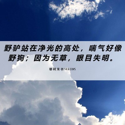 Picture 06 - 耶 利 米 书 14:6 CUVS - 野 驴 站 在 净 光 的 高 处 ， 喘 气 - Bible Verse Picture