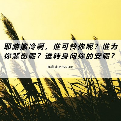 Picture 06 - 耶 利 米 书 15:5 CUVS - 耶 路 撒 冷 啊 ， 谁 可 怜 你 呢 ？ - Bible Verse Picture