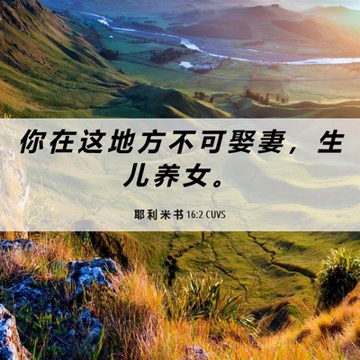 Picture 06 - 耶 利 米 书 16:2 CUVS - 你 在 这 地 方 不 可 娶 妻 ， 生 儿 - Bible Verse Picture