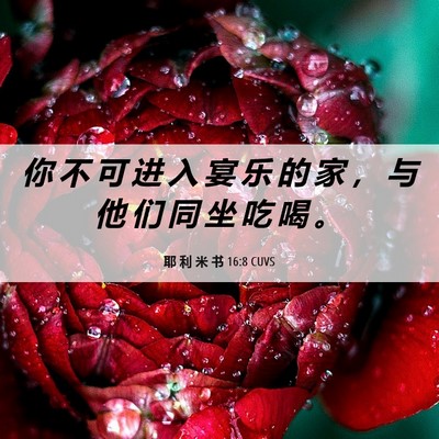 Picture 06 - 耶 利 米 书 16:8 CUVS - 你 不 可 进 入 宴 乐 的 家 ， 与 他 - Bible Verse Picture