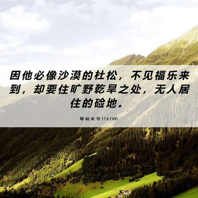Picture 06 - 耶 利 米 书 17:6 CUVS - 因 他 必 像 沙 漠 的 杜 松 ， 不 见 - Bible Verse Picture
