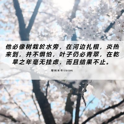 Picture 06 - 耶 利 米 书 17:8 CUVS - 他 必 像 树 栽 於 水 旁 ， 在 河 边 - Bible Verse Picture