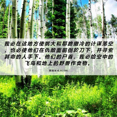 Picture 06 - 耶 利 米 书 19:7 CUVS - 我 必 在 这 地 方 使 犹 大 和 耶 路 - Bible Verse Picture