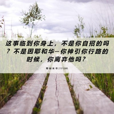 Picture 06 - 耶 利 米 书 2:17 CUVS - 这 事 临 到 你 身 上 ， 不 是 你 自 - Bible Verse Picture
