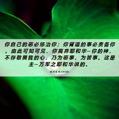 Picture 06 - 耶 利 米 书 2:19 CUVS - 你 自 己 的 恶 必 惩 治 你 ； 你 背 - Bible Verse Picture