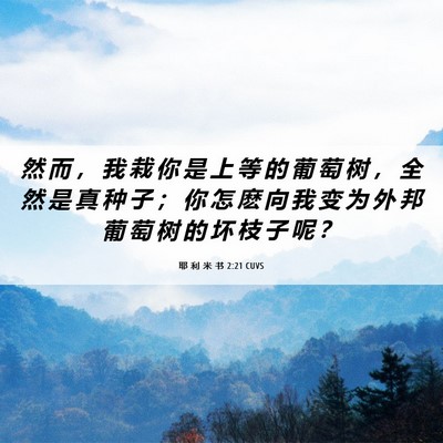 Picture 06 - 耶 利 米 书 2:21 CUVS - 然 而 ， 我 栽 你 是 上 等 的 葡 萄 - Bible Verse Picture