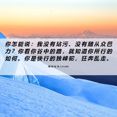 Picture 06 - 耶 利 米 书 2:23 CUVS - 你 怎 能 说 ： 我 没 有 玷 污 、 没 - Bible Verse Picture