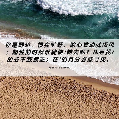 Picture 06 - 耶 利 米 书 2:24 CUVS - 你 是 野 驴 ， 惯 在 旷 野 ， 欲 心 - Bible Verse Picture