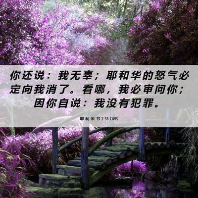 Picture 06 - 耶 利 米 书 2:35 CUVS - 你 还 说 ： 我 无 辜 ； 耶 和 华 的 - Bible Verse Picture