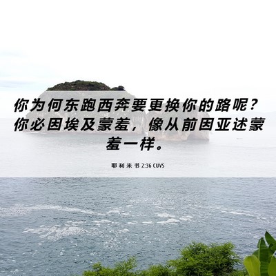 Picture 06 - 耶 利 米 书 2:36 CUVS - 你 为 何 东 跑 西 奔 要 更 换 你 的 - Bible Verse Picture
