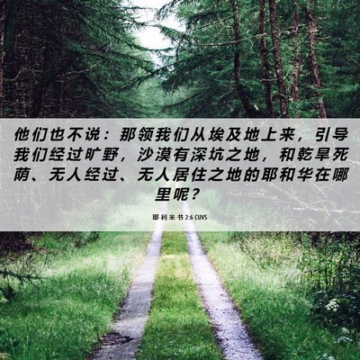 Picture 06 - 耶 利 米 书 2:6 CUVS - 他 们 也 不 说 ： 那 领 我 们 从 埃 - Bible Verse Picture