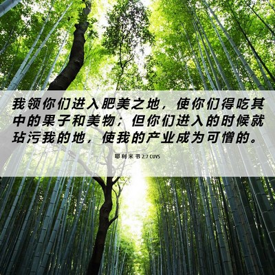Picture 06 - 耶 利 米 书 2:7 CUVS - 我 领 你 们 进 入 肥 美 之 地 ， 使 - Bible Verse Picture
