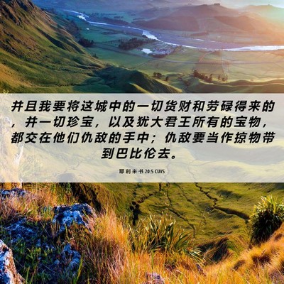 Picture 06 - 耶 利 米 书 20:5 CUVS - 并 且 我 要 将 这 城 中 的 一 切 货 - Bible Verse Picture