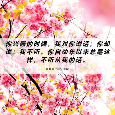 Picture 06 - 耶 利 米 书 22:21 CUVS - 你 兴 盛 的 时 候 ， 我 对 你 说 话 - Bible Verse Picture