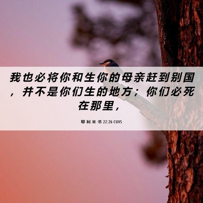Picture 06 - 耶 利 米 书 22:26 CUVS - 我 也 必 将 你 和 生 你 的 母 亲 赶 - Bible Verse Picture
