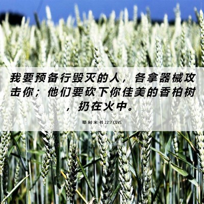 Picture 06 - 耶 利 米 书 22:7 CUVS - 我 要 预 备 行 毁 灭 的 人 ， 各 拿 - Bible Verse Picture