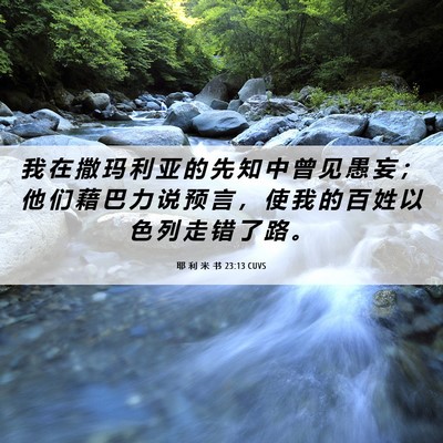 Picture 06 - 耶 利 米 书 23:13 CUVS - 我 在 撒 玛 利 亚 的 先 知 中 曾 见 - Bible Verse Picture