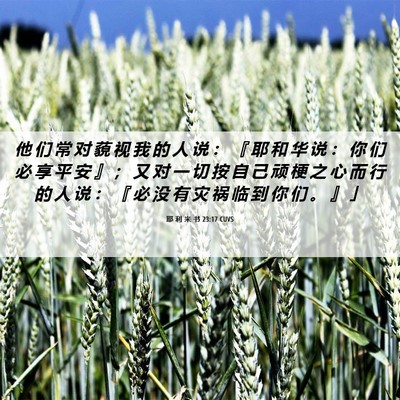 Picture 06 - 耶 利 米 书 23:17 CUVS - 他 们 常 对 藐 视 我 的 人 说 ： 『 - Bible Verse Picture