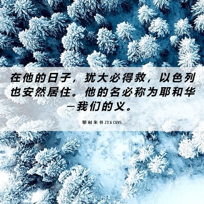 Picture 06 - 耶 利 米 书 23:6 CUVS - 在 他 的 日 子 ， 犹 大 必 得 救 ， - Bible Verse Picture