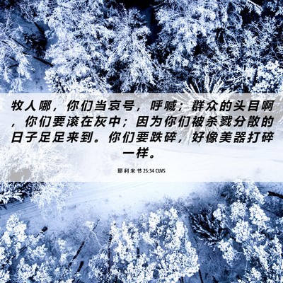 Picture 06 - 耶 利 米 书 25:34 CUVS - 牧 人 哪 ， 你 们 当 哀 号 ， 呼 喊 - Bible Verse Picture