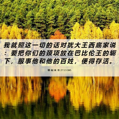 Picture 06 - 耶 利 米 书 27:12 CUVS - 我 就 照 这 一 切 的 话 对 犹 大 王 - Bible Verse Picture