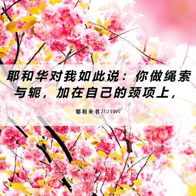 Picture 06 - 耶 利 米 书 27:2 CUVS - 耶 和 华 对 我 如 此 说 ： 你 做 绳 - Bible Verse Picture