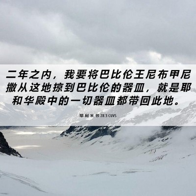 Picture 06 - 耶 利 米 书 28:3 CUVS - 二 年 之 内 ， 我 要 将 巴 比 伦 王 - Bible Verse Picture
