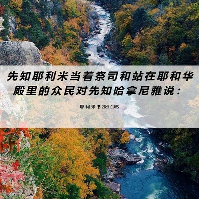 Picture 06 - 耶 利 米 书 28:5 CUVS - 先 知 耶 利 米 当 着 祭 司 和 站 在 - Bible Verse Picture